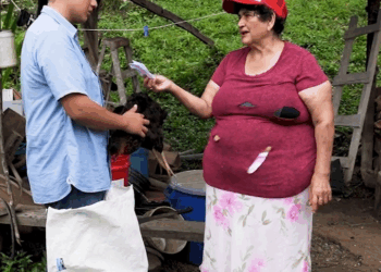 [COMPLETO] 0268H1020 Trató mal a la abuela de su esposo por ser una mujer de campo Goals
