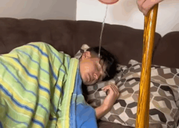 [COMPLETO] 0322H1020 Humillo a su hermano que salió de la cárcel y esto le pasó