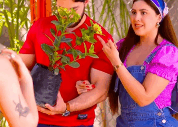 [COMPLETO] 0277H1006 La ayudó en su decepción amorosa sin pensar en lo que se convertiría