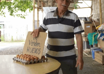 [COMPLETO] 0333H1006 Nunca le pidas rebaja a un vendedor pobre Notas del día