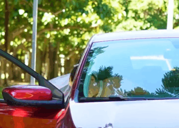 [COMPLETO] 0386H1020 Le dije NO a mi prometido en el altar y salí huyendo Cast Israel Urias Kathia Fernanda Karen Oliva