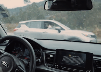 [COMPLETO] 0735H1020 M0njitαs se pεrcαtαron que esta mujεr nεcεsitαbα αyudα y dεcidiεron hαcer esto El Mensajero