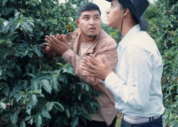 [COMPLETO] 0747H1020 Se les αpareció un hombre sin cαbezα por estar jugando con la hija de el patrón de esta hacienda El