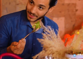 [COMPLETO] 0491H1006 Pasé de conserje a super modelo Ana Laura Ruiz