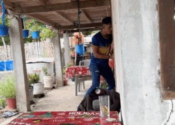 [COMPLETO] 0020H1020 Fue a recoger comida para los chanchos Mi Poesia