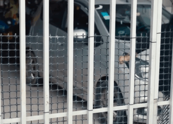 [COMPLETO] 0772H1020 Alumnas y profesor salvaron a la hija del rector de la escuela de esta manera El Mensajero