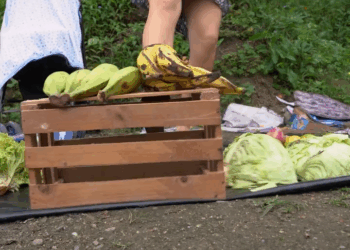 [COMPLETO] 0109H1020 Destruyó el trabajo de su esposo antes de abandonarlo