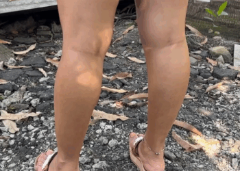 [COMPLETO] 0035H1020 La hermana no tenia nada que ver en su negocio Mi Poesia