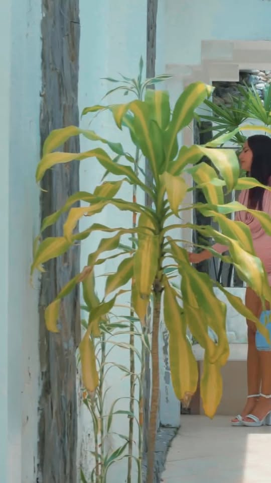 [COMPLETO] 0101H1030 S0082 Descubre los planes de la esposa de su patrón y crea un plan para ayudarlo Historias de Yomi