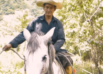 [COMPLETO] 0116H1114 S0087 Le echaron del trabajo por no saber leer ni escribir, hasta que paso esto La VIDA SIGUE