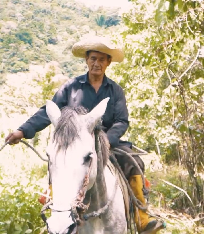 [COMPLETO] 0116H1114 S0087 Le echaron del trabajo por no saber leer ni escribir, hasta que paso esto La VIDA SIGUE