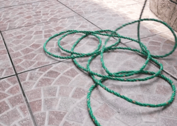 [COMPLETO] 0019H1114 S0085 Utilizó un disfraz para darle el mejor regalo a su mamá Daniela Isabel