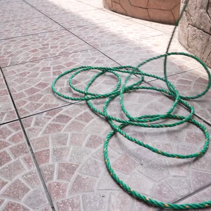 [COMPLETO] 0019H1114 S0085 Utilizó un disfraz para darle el mejor regalo a su mamá Daniela Isabel