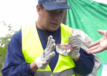 [COMPLETO] 0158H1030 S0082 Reciclador usa este truco para cobrar doble sueldo Historias de Yomi