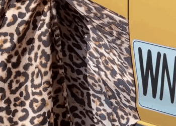 [COMPLETO] 0173H1114 S0020 Señor, por favor, ayúdeme! #fblifestyle Nicauris Javier