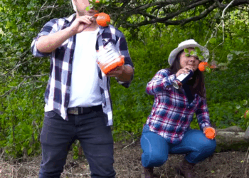 [COMPLETO] 0183H1030 S0082 Pintan naranjas para incrementar el precio de la finca y así salir del pueblo Historias de Yomi