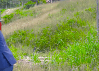 [COMPLETO] 0195H1030 S0082 Ángel remolca un 4×4 con un carro de juguete Historias de Yomi