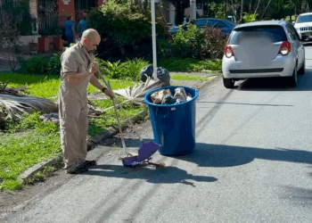 [COMPLETO] 0286H1114 S0020 Chica millonaria menospreció a este barrendero sin saber quien era en realidad Nicauris Javier