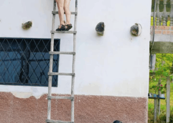 [COMPLETO] 0308H1030 S0083 La astucia e inteligencia de esta mujer llegaron tan lejos que nunca imagino que la verdad siempre s