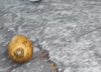 [COMPLETO] 0037H1114 S0085 Esta chica fue salvada por su ángel guardián Daniela Isabel