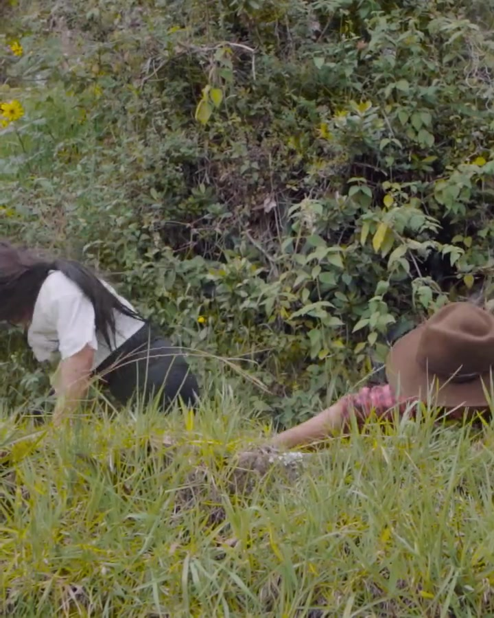 [COMPLETO] 0342H1030 S0083 Pinto a su hijo y lo camuflo en la hierba para no dejar que su padre lo vea Estefany