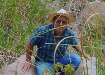 [COMPLETO] 0365H1030 S0083 Intento deshacer de esta criatura pero no sabía que estaba protegido por el espíritu de su madre Es