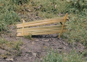 [COMPLETO] 0371H1030 S0083 Se fue al cielo por culpa de su esposa y volvió para salvar a su hijo Estefany