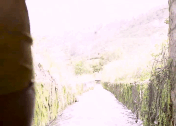 [COMPLETO] 0410H1030 S0083 Nunca te metas con los hijos de una madre soltera Estefany