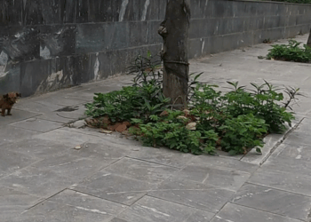 [COMPLETO] 0040H1030 Mecánico le cobraba de más a sus clientes hasta que se metió con la persona equivocada