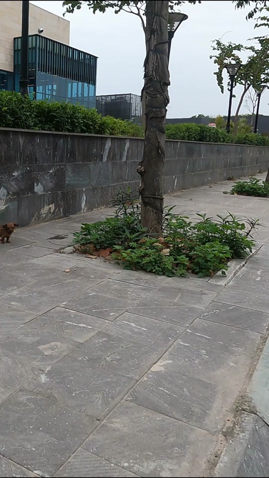 [COMPLETO] 0040H1030 Mecánico le cobraba de más a sus clientes hasta que se metió con la persona equivocada