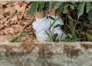 [COMPLETO] 0426H1030 S0083 Hizo volar una vaca para que su padre le creyera todo lo que hizo su madrastra Estefany