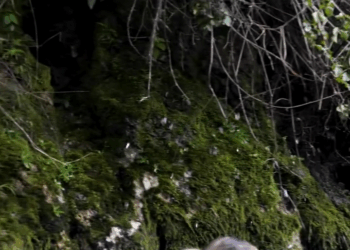 [COMPLETO] 0512H1030 S0083 Su adicción al celular hizo que perdiera a sus hijas y termine de esta manera Estefany