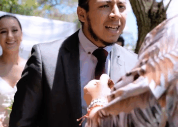 [COMPLETO] 0590H1030 S0083 Empleada se enamora de su patrona sin pensar en las consecuencias Estefany