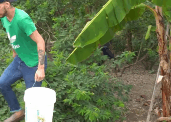 [COMPLETO] 0588H1114 S0088 Descubrió que su vecino no era buena persona Vicky Salazar