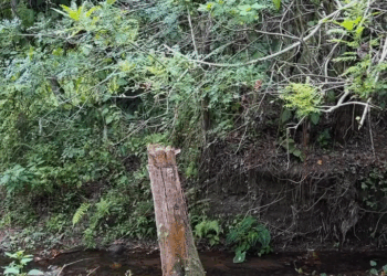 [COMPLETO] 0614H1114 S0088 Capataz le vio a la patrona y se enamoro Vicky Salazar