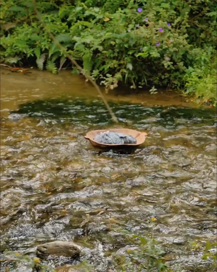 [COMPLETO] 0662H1030 S0083 Nace su bebé en las alturas mientras escapaba de su esposo Estefany