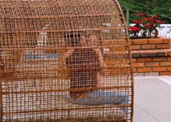 [COMPLETO] 0065H1030 Abuelo les dio esta lección a estos jovenes por hacerle esto a su nieta