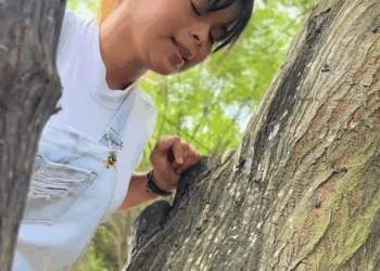 [COMPLETO] 0741H1114 S0088 Esposo le hizo esto a su mujer pero recibió lo suyo #fyp #tendencias #larosadeguadalupe #ComoDiceE