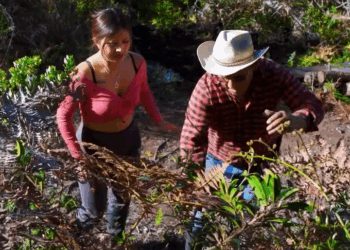 [COMPLETO] 0392H1030 S0083 Se escondió debajo de la tierra para proteger su vida Estefany