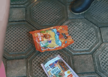 [COMPLETO] 0100H1114 S0087 Su abuelita falleci0 y ellos deciden buscar a su padre, sin imaginar que papá Noel les daría una so