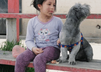 [COMPLETO] 0145H1126 S0094 Esta madre se olvida del cumpleaños de su hija y quiere convencerla con dinero