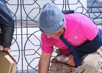 [COMPLETO] 0148H1126 S0094 Hijo le quitó la casa a su padre y lo dejó en la calle Wendy Renata