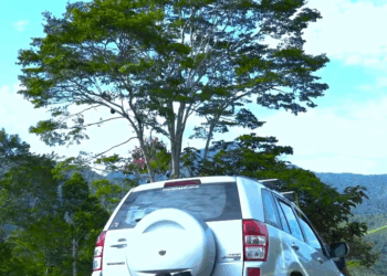 [COMPLETO] 0172H1126 S0095 Le cambiaron las placas para ganar dinero fácil Yomi