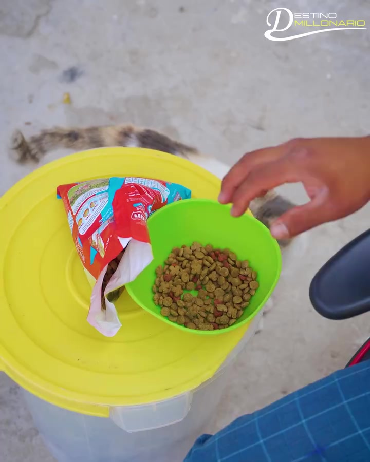 [COMPLETO] 0310H1126 S0097 Por estar en el celular dscud0 a su hijo y sin pensar lo que sucedería Destino Millonario