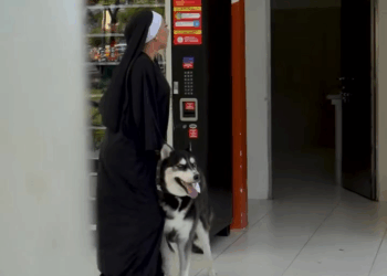 [COMPLETO] 0033H1126 S0087 Asi reaccionaron estos chicos al ver la M0nja hacer ejercicios jajaja La Mosquera Reflexiones