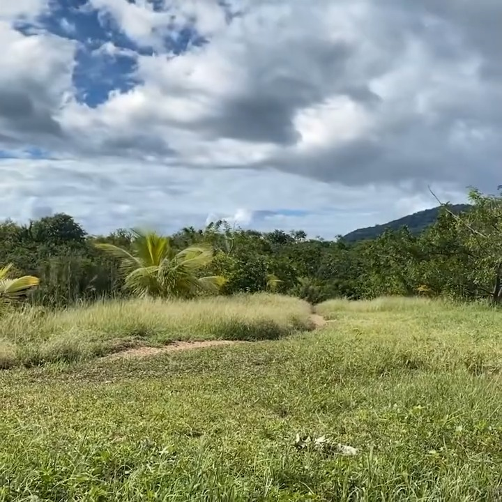 [COMPLETO] 0056H1126 S0087 La TIA encuentra a su MARID0 con su SOBRINA en su propia casa REFLEXION La Mosquera Reflexiones