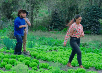 [COMPLETO] 0089H1126 S0094 Jefa puso a prueba la honradez de sus trabajadores y vaya sorpresa que se llevó